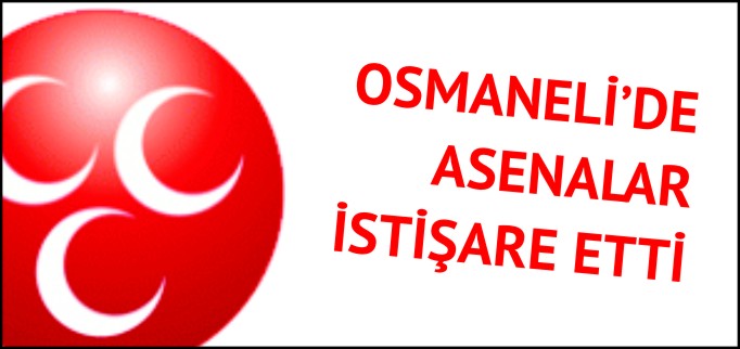OSMANELİ’DE ASENALAR İSTİŞARE ETTİ