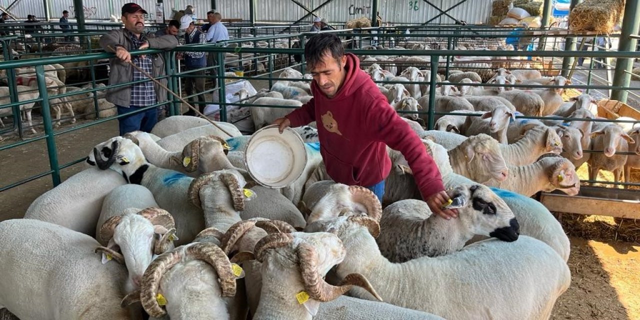 Kurbanlık satıcısı çifte bayram yapıyor