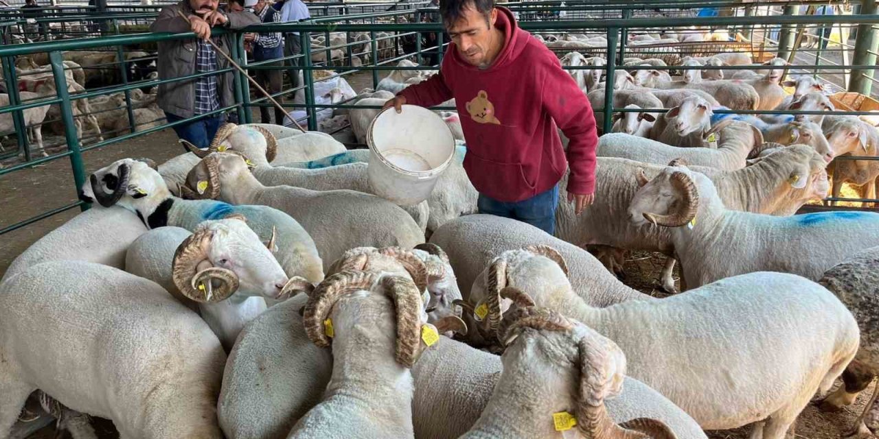 “Burada adeta eziyet çekiyoruz”