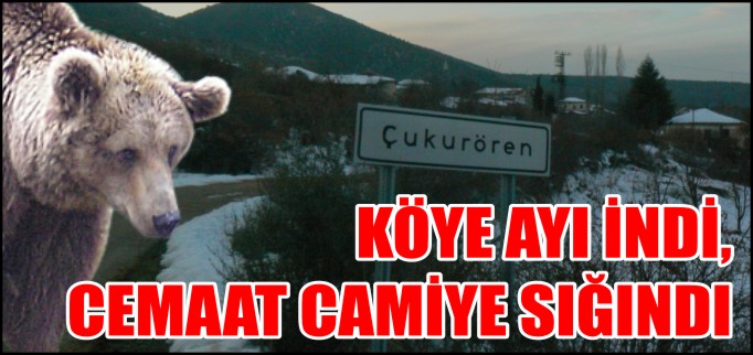 KÖYE AYI İNDİ, CEMAAT CAMİYE SIĞINDI