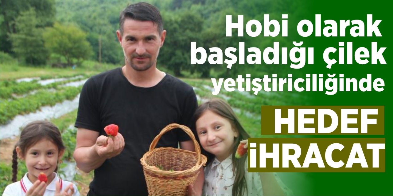 Hobi olarak başladığı çilek yetiştiriciliğinde hedef ihracat