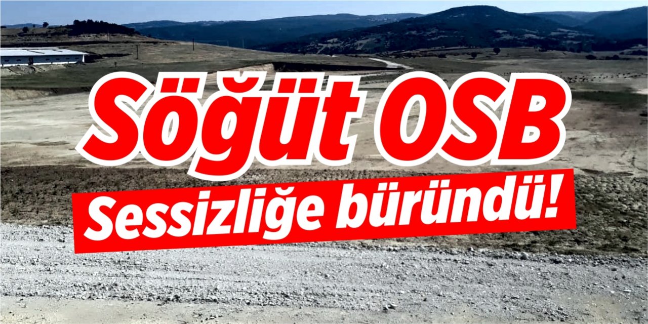 Söğüt OSB sessizliğe büründü!