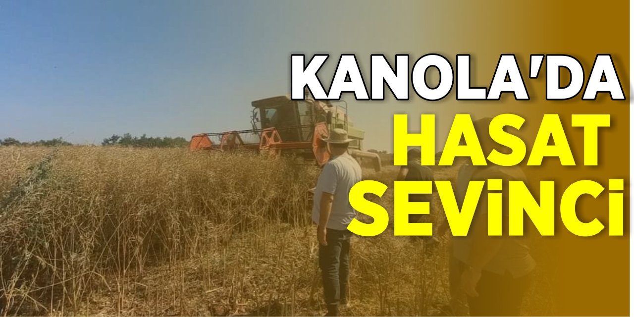 Üretimi başlayan kanola da hasat sevinci