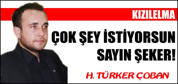 ÇOK ŞEY İSTİYORSUN SAYIN ŞEKER!