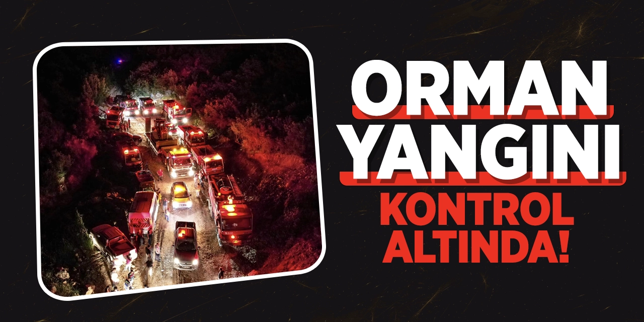 Osmaneli’deki Orman yangını kontrol altında!