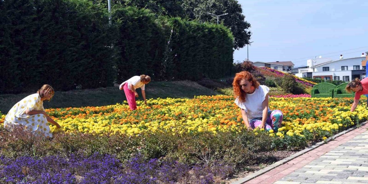 Macera Bursa, rengarenk çiçeklerle donatıldı