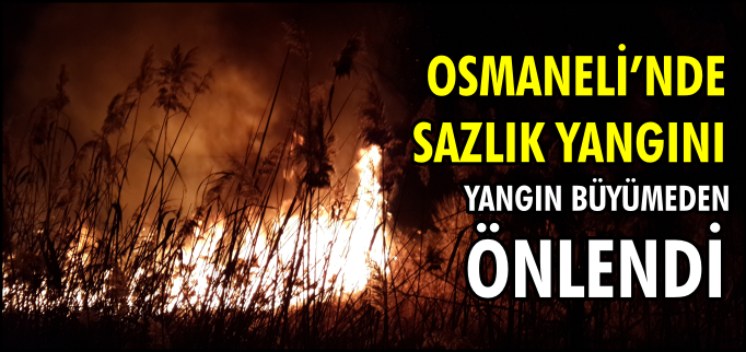 OSMANELİ’NDE SAZLIK YANGINI