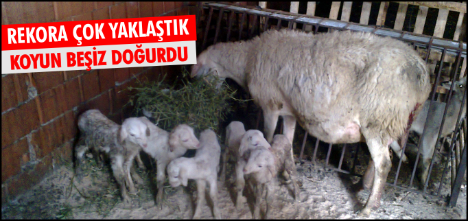 REKORA ÇOK YAKLAŞTIK