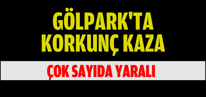 GÖLPARKTA KORKUNÇ KAZA