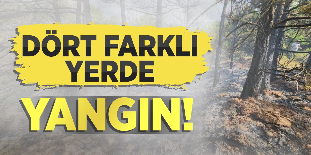 Bilecik'te 4 farklı yerde yangın!