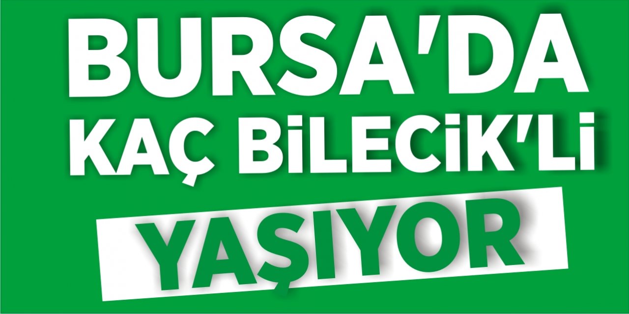 Bursa'da kaç Bilecik’li yaşıyor