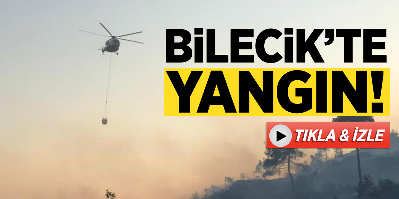 Bilecik Osmaneli'de yangın!