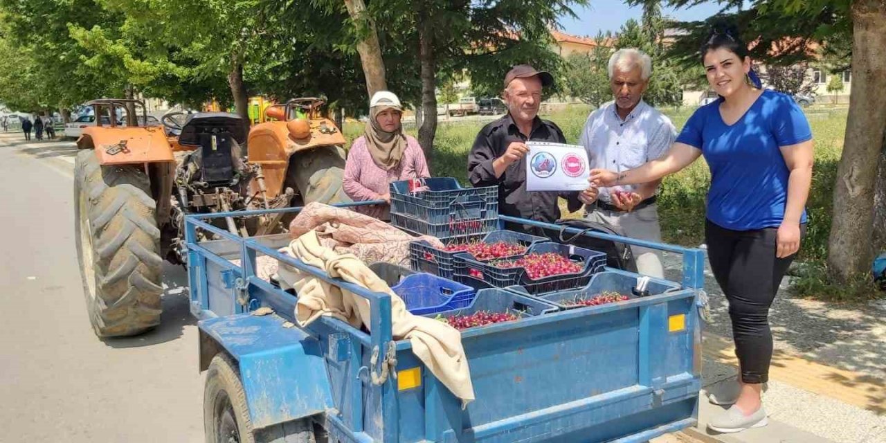 Coğrafi İşaret Alan Pazarlar Kirazı Denetlendi