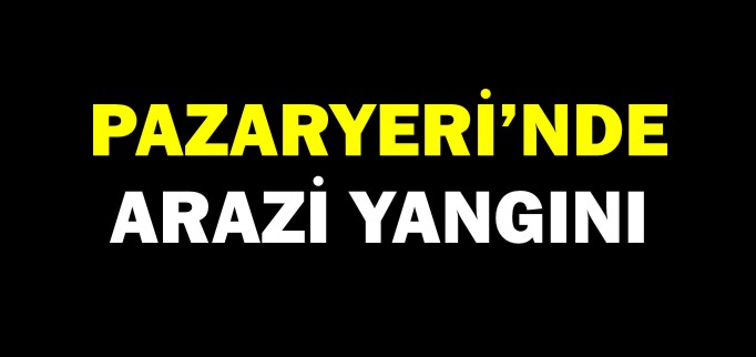 PAZARYERİ’NDE ARAZİ YANGINI
