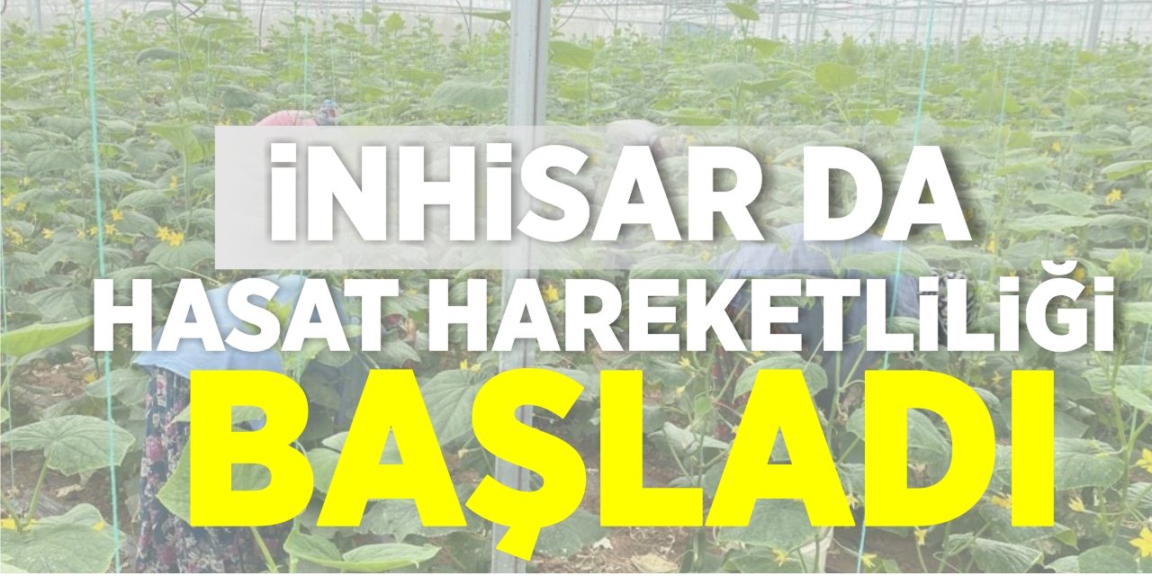 İnhisar’da hasat hareketliliği başladı