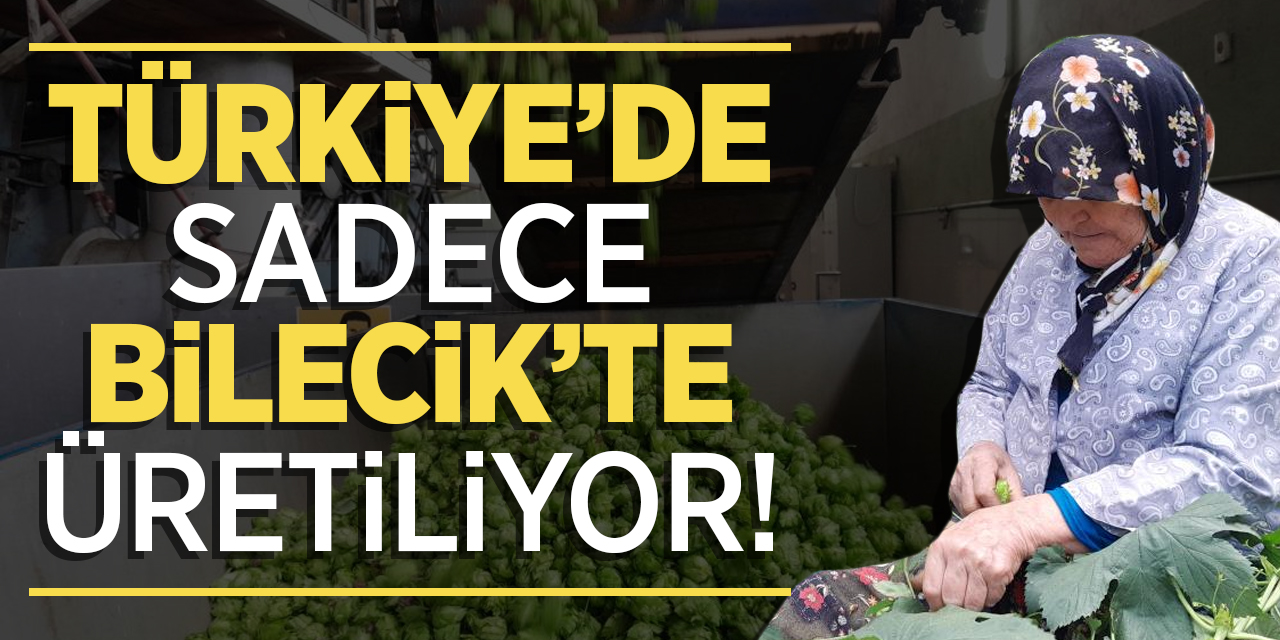 Türkiye'de Sadece Bilecik'te Üretiliyor!