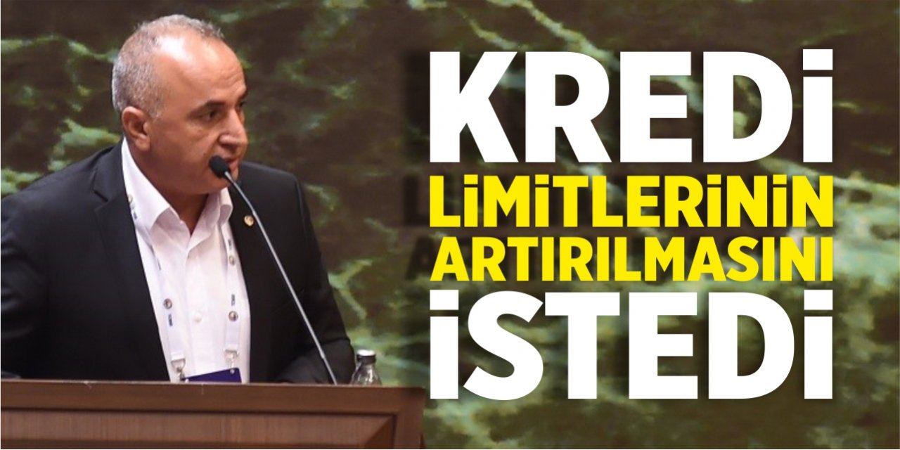 Veli Çelik, kredi limitlerinin artırılmasını istedi