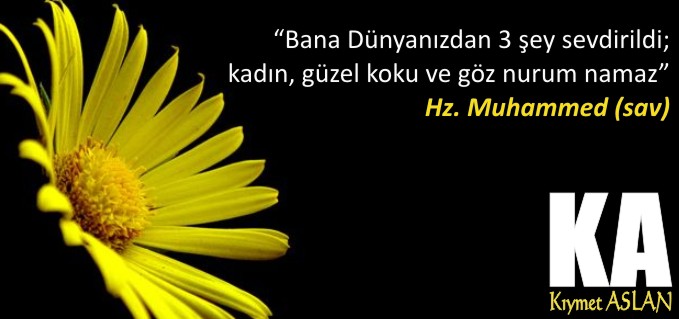 RÖPORTAJLAR BAŞLIYOR