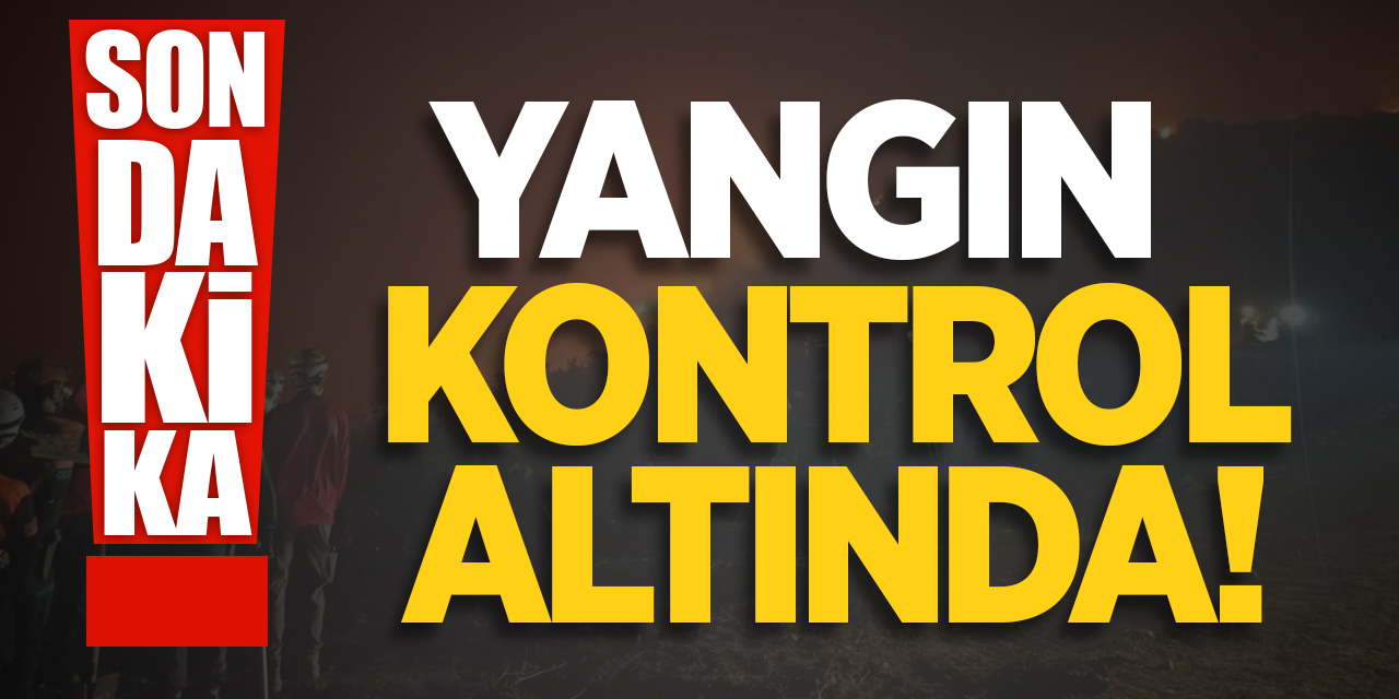 Bilecik'te çıkan yangın kontrol altına alındı!