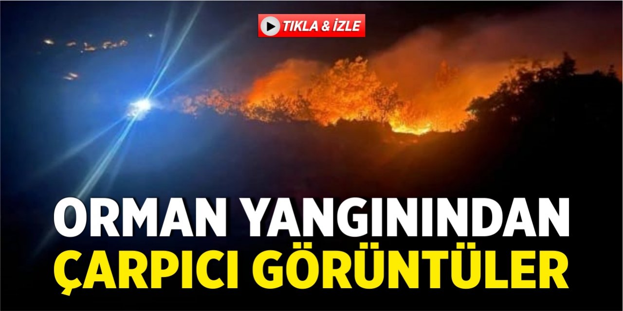 Orman yangınından çarpıcı görüntüler