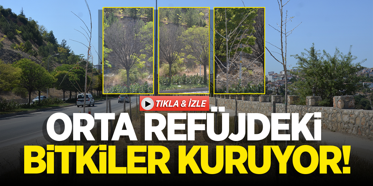 Orta Refüjdeki Bitkiler Kuruyor!