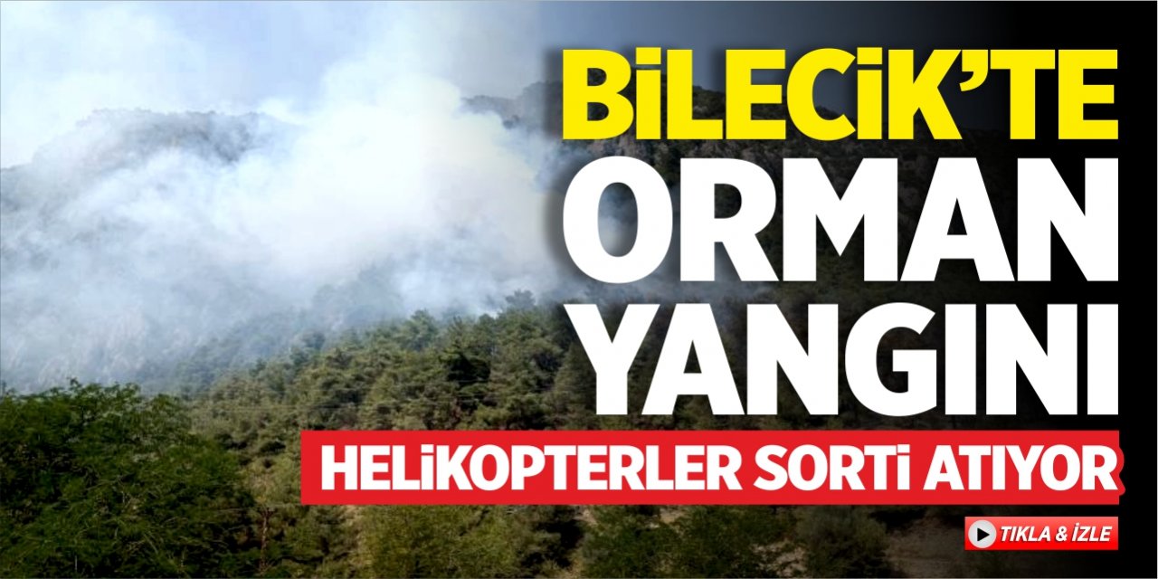 Bilecik'te orman yangını! Helikopterler sorti atıyor!