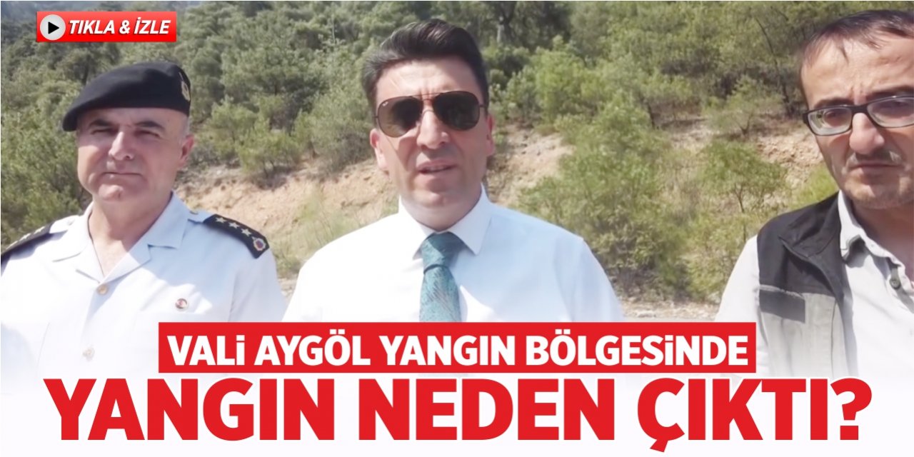 Vali Aygöl yangın bölgesinde! Yangın neden çıktı?