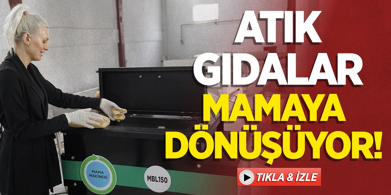 Atık Gıdalar Mamaya Dönüşüyor!