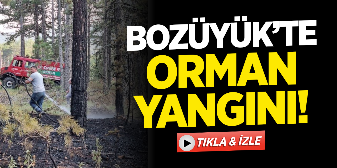 Bozüyük'te Orman Yangını!