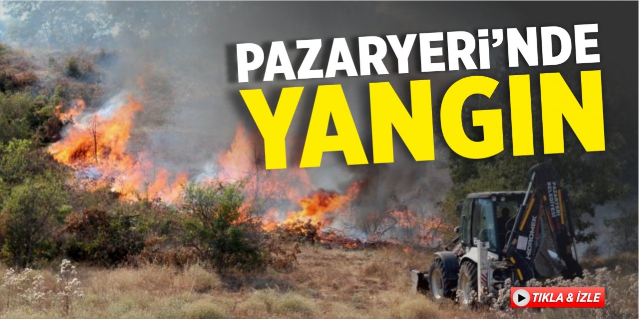 Pazaryeri'nde yangın!