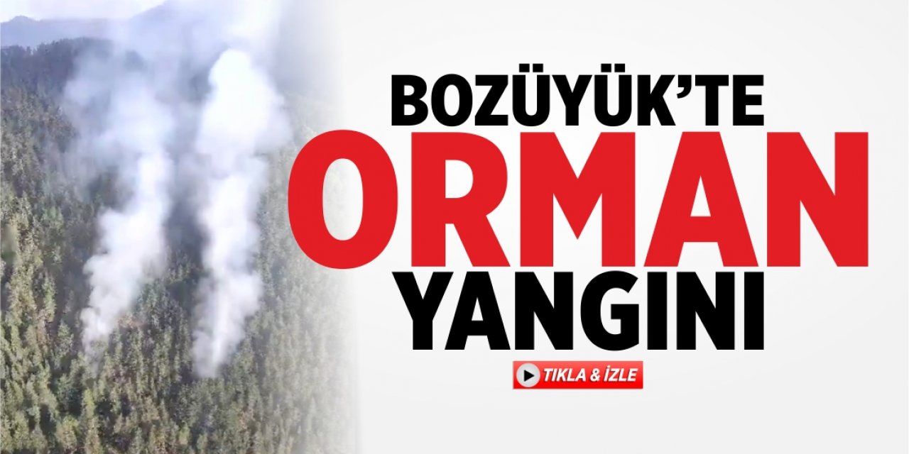 Bozüyük’te orman yangını