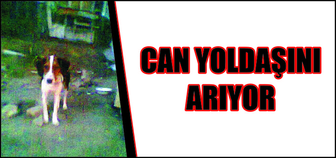 CAN YOLDAŞINI ARIYOR