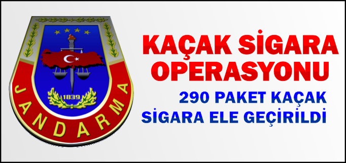 290 PAKET KAÇAK SİGARA ELE GEÇİRİLDİ