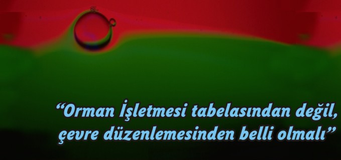 ’’ORMAN İŞLETMESİ TABELASINDAN DEĞİL, ÇEVRE DÜZENLEMESİNDEN BELLİ OLMALI’’