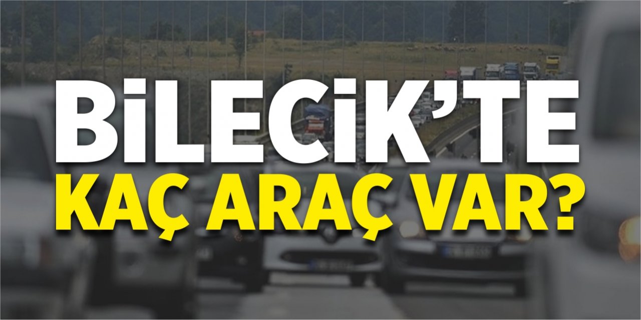 Bilecik'te kaç araç var?