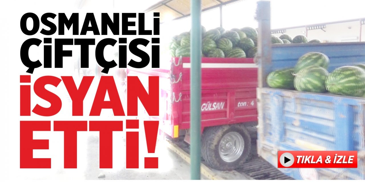 Osmaneli çiftçisi isyan etti!