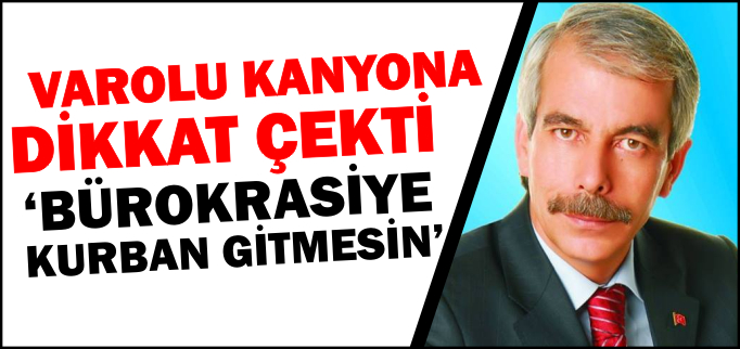 "BÜROKRASİYE KURBAN GİTMESİN"