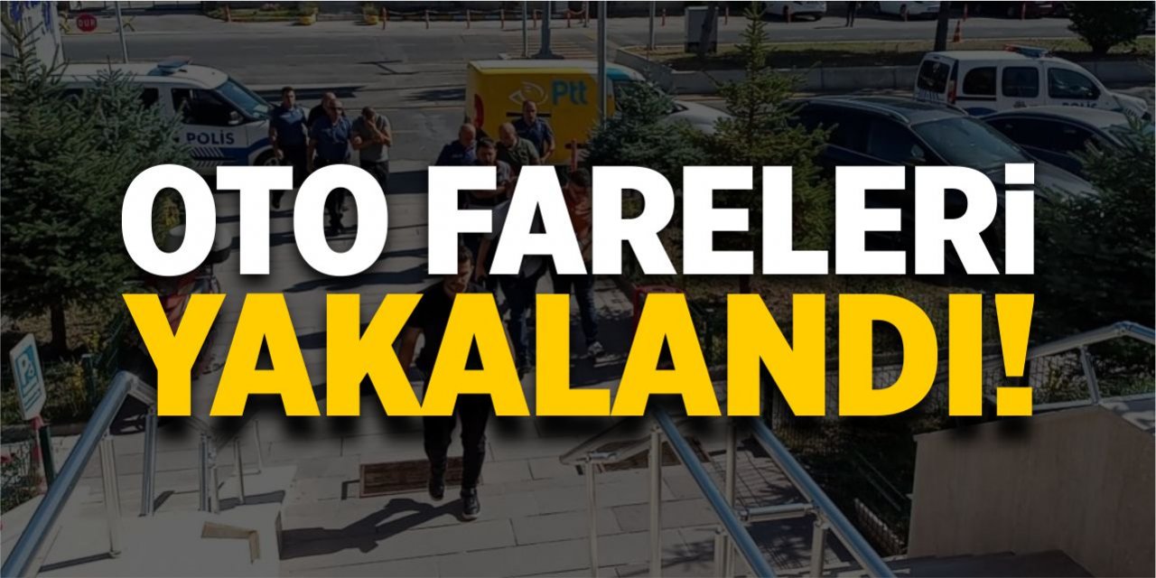 Oto fareleri yakalandı!