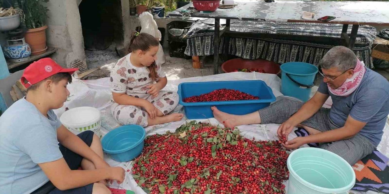 Hisarcık’ta Kızılcık Üretimi Düştü, Fiyatlar İkiye Katlandı