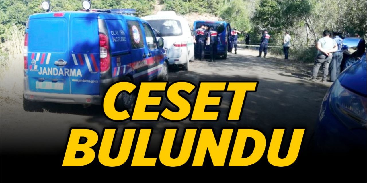 Ceset bulundu!