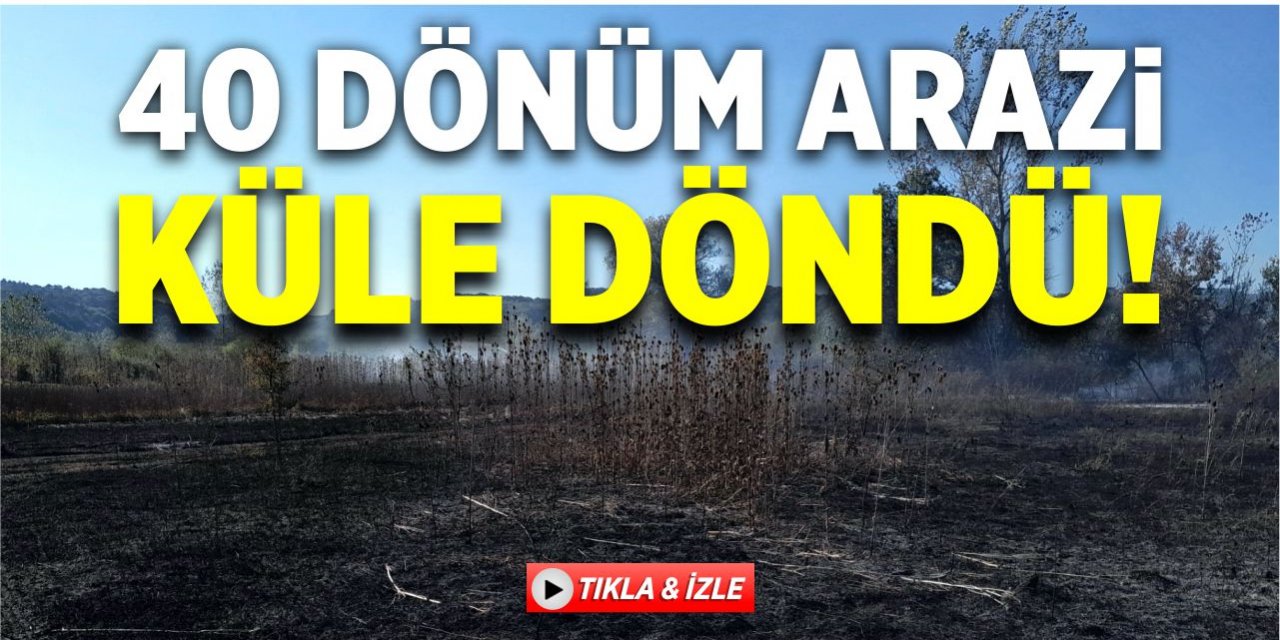 40 dönüm arazi küle döndü!