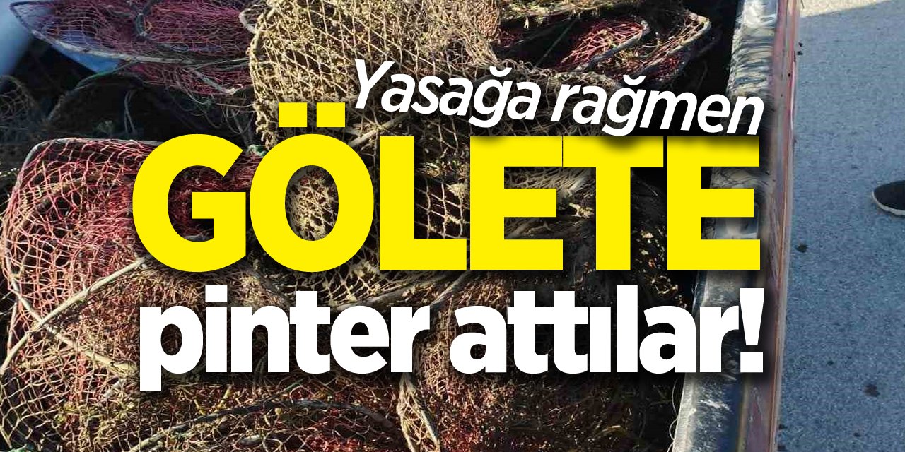 Yasağa rağmen gölete pinter attılar!