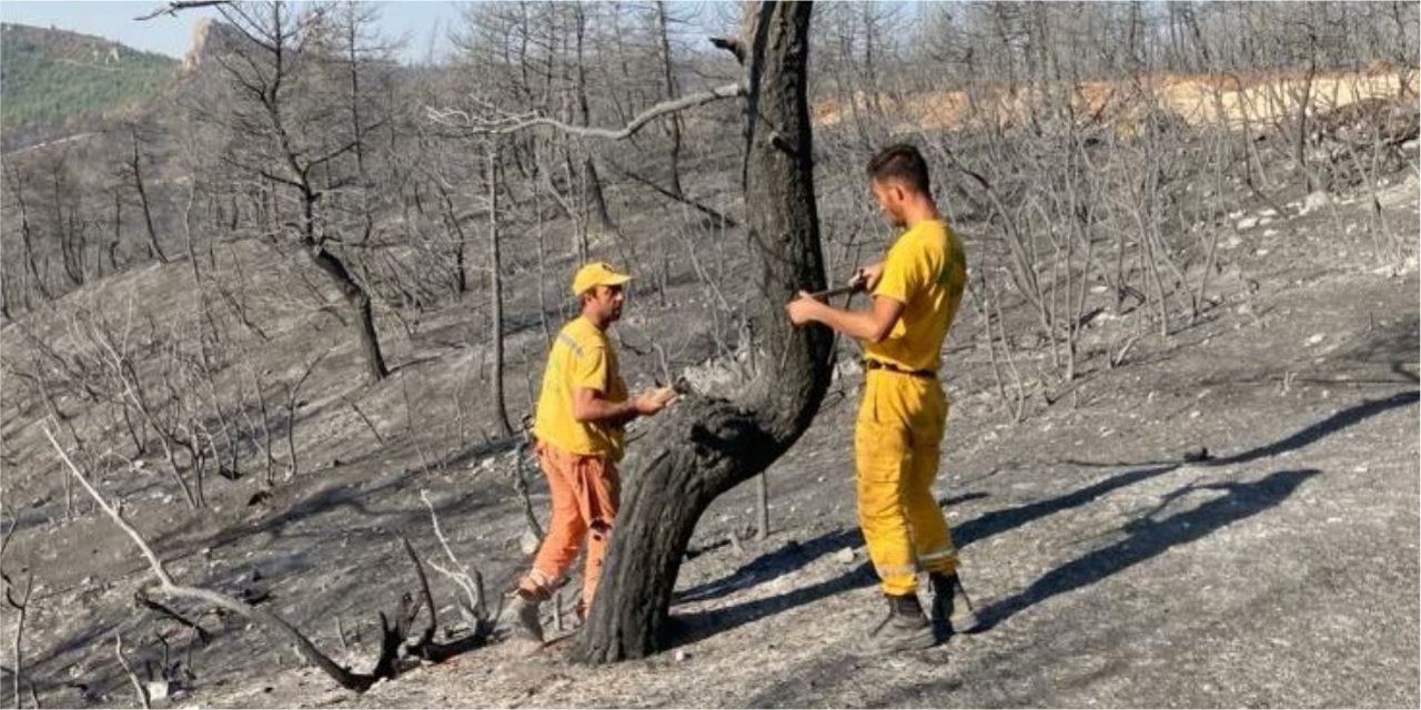 Yangının izleri siliniyor