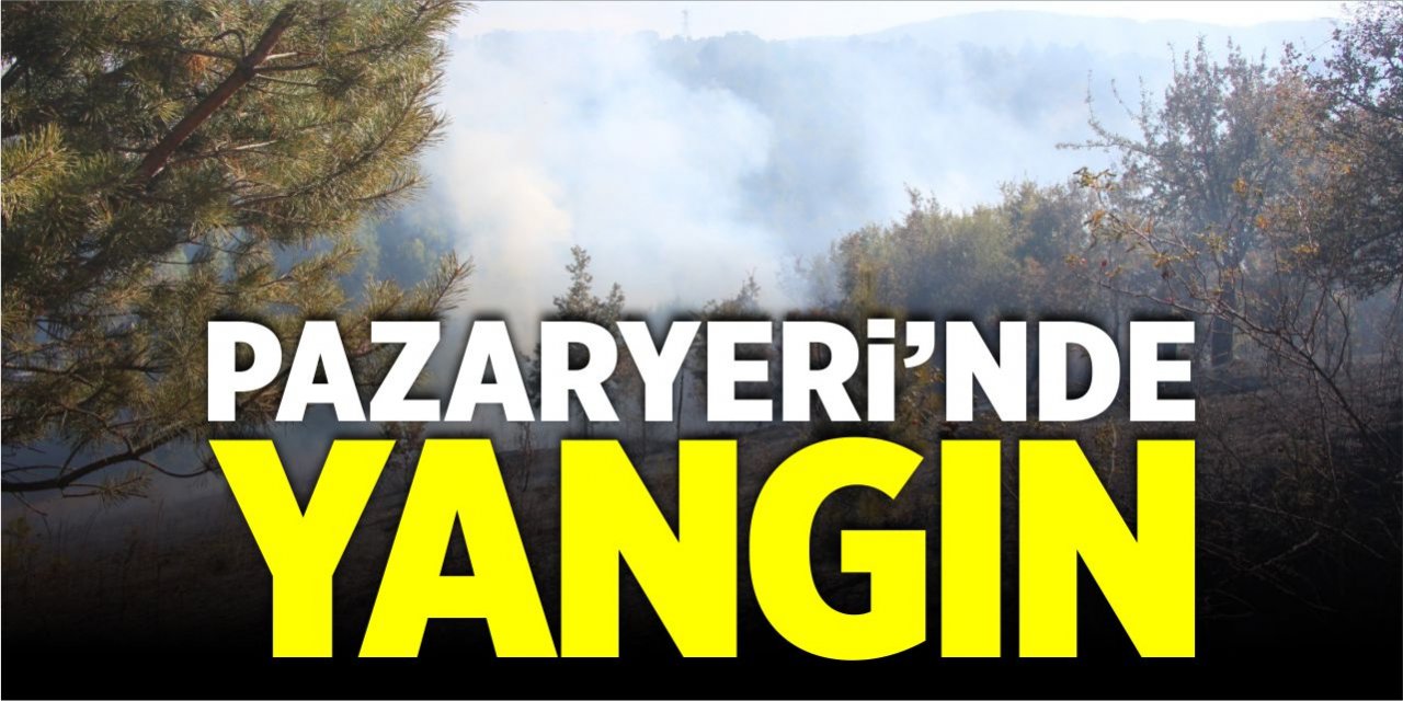 Pazaryeri'nde yangın