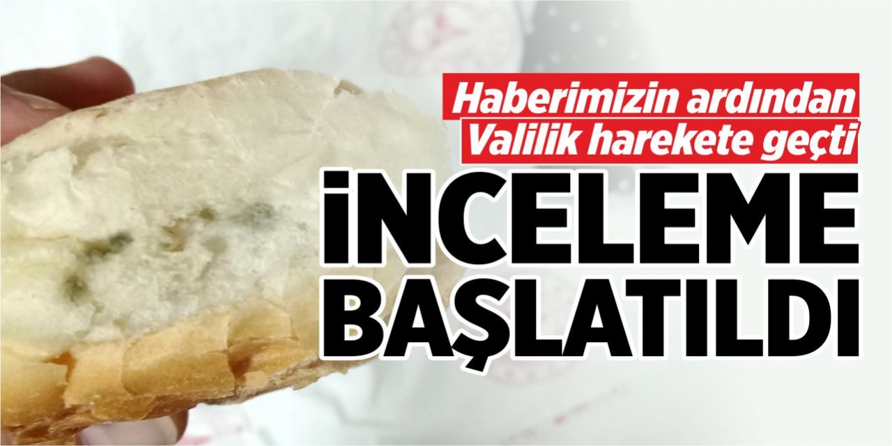 İnceleme başlatıldı!