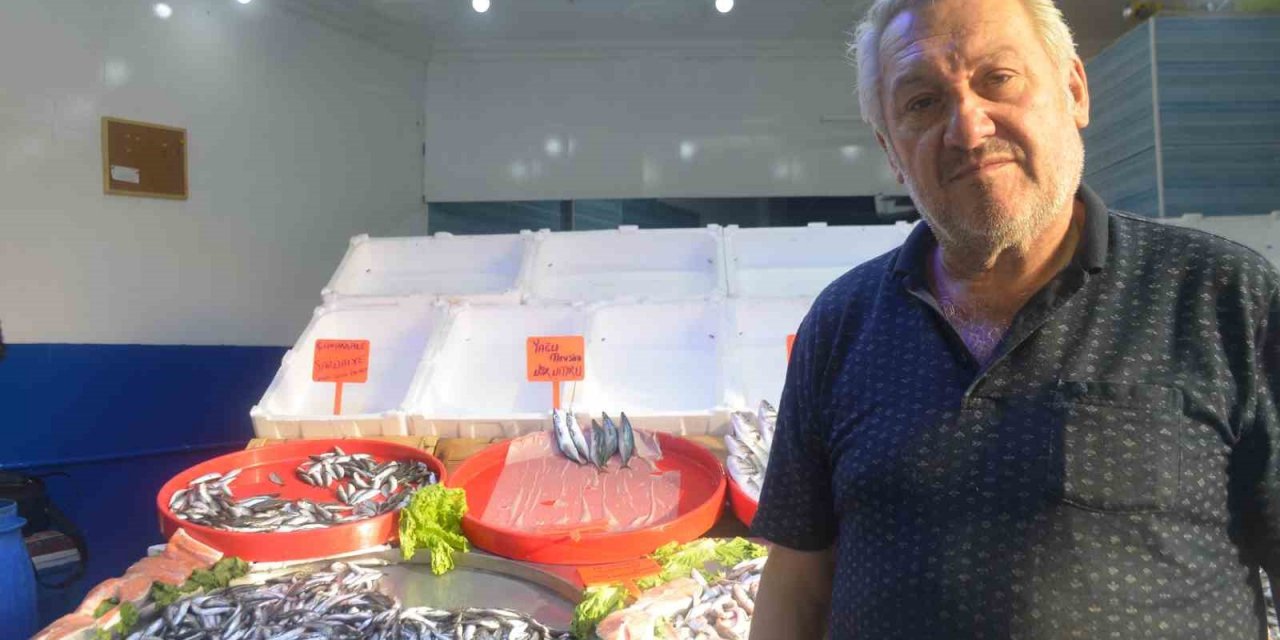 Marmara’da Hamsi Bolluğu Fiyatları Düşürdü, Vatandaşlar Hamsiye Akın Etti