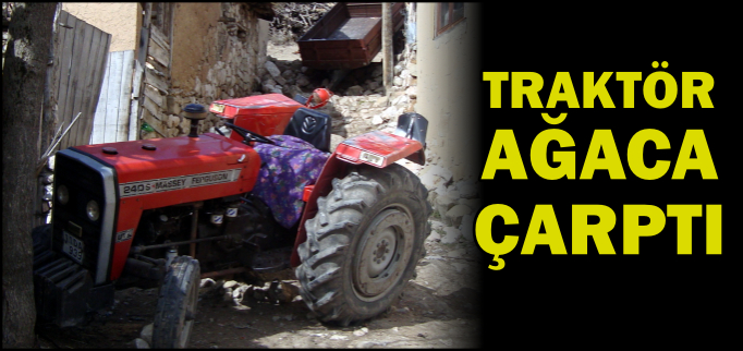 TRAKTÖR AĞACA ÇARPTI