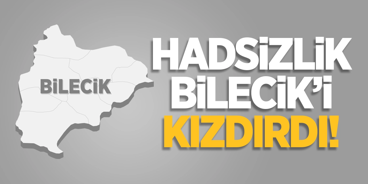 Hadsizlik Bilecik'i Kızdırdı!