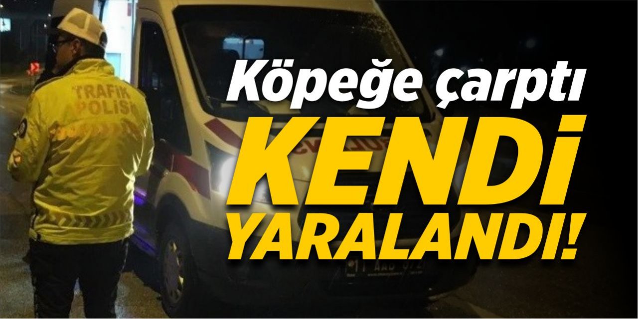 Köpeğe çarptı kendi yaralandı