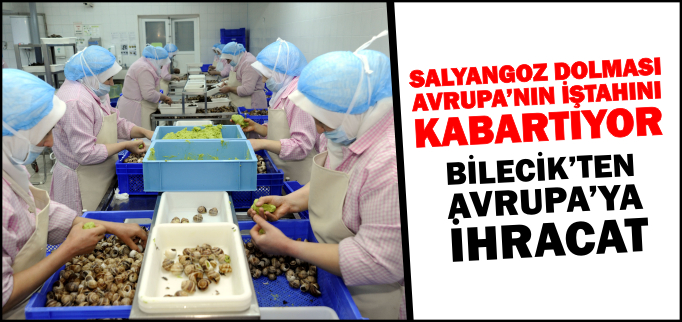SALYANGOZ DOLMASI AVRUPA’NIN İŞTAHINI KABARTIYOR